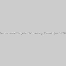 Image of Recombinant Shigella Flexneri argI Protein (aa 1-337)
